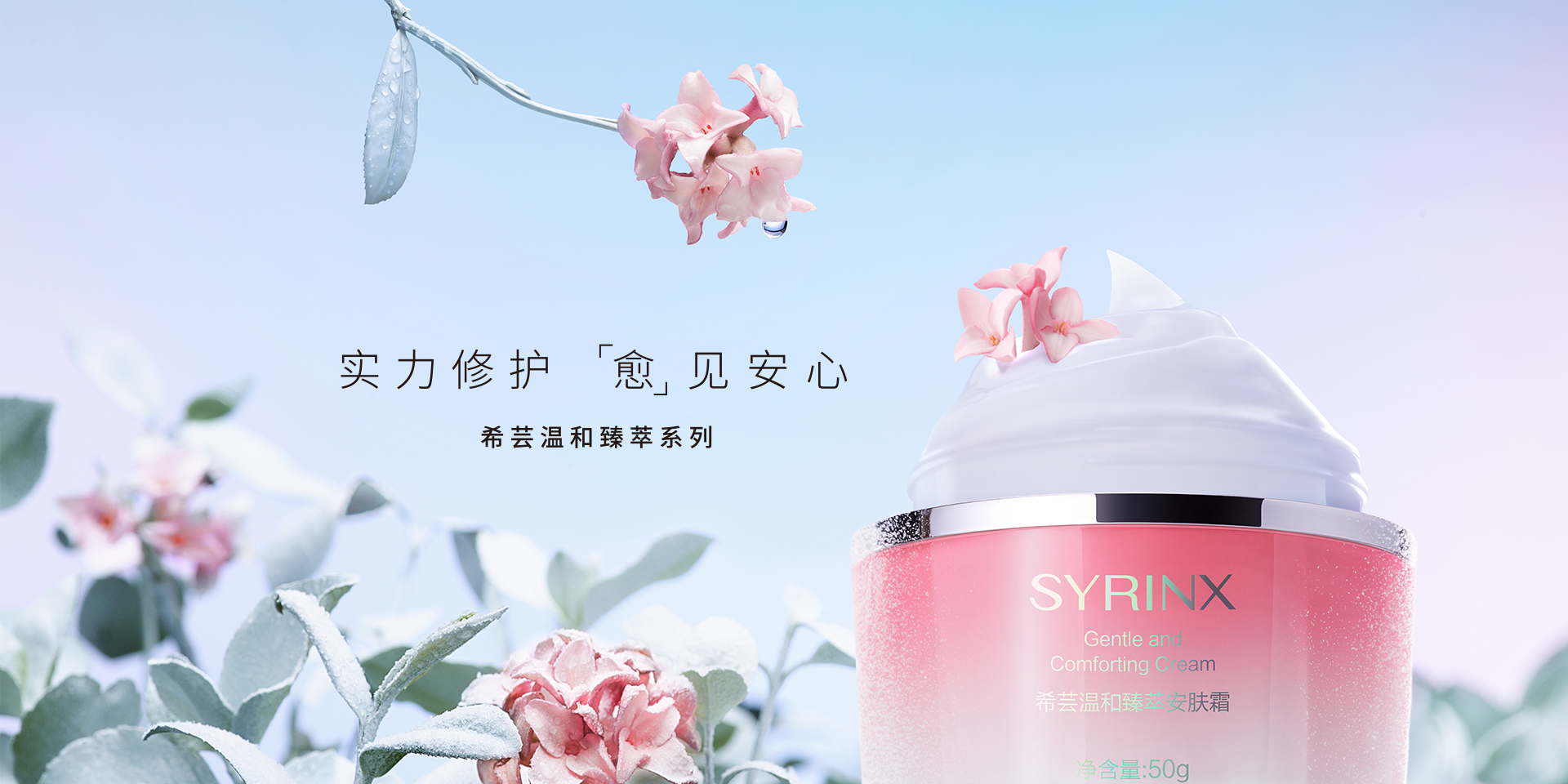 希芸明星系列